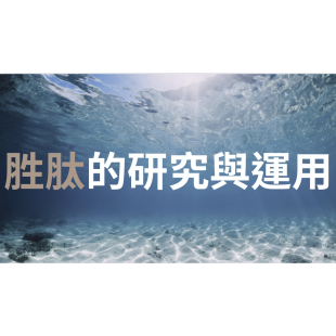 螢幕擷取畫面 2025-02-03 145433.png