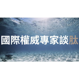 螢幕擷取畫面 2025-02-03 155956.png