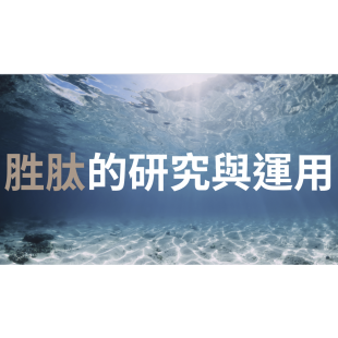 螢幕擷取畫面 2025-02-03 145433.png